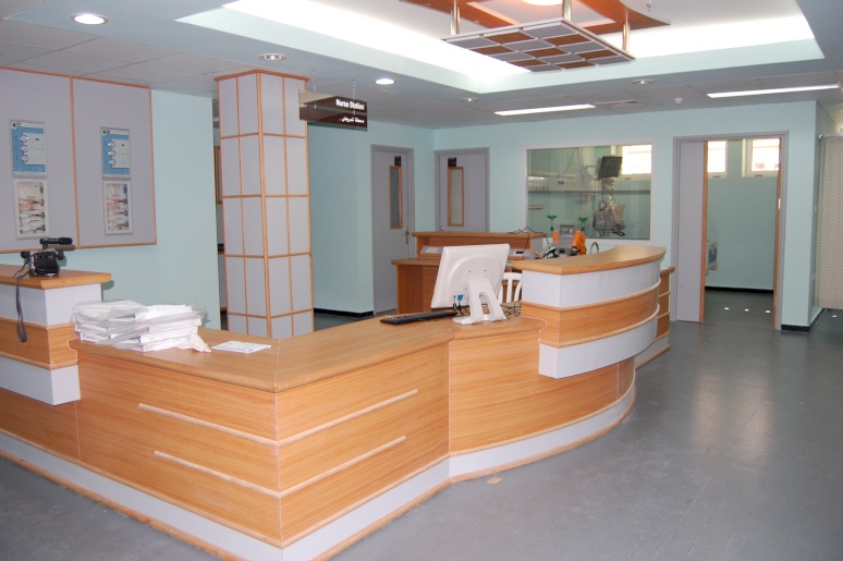 Construction of Neurosurgery Center in the European Gaza Hospital Project
